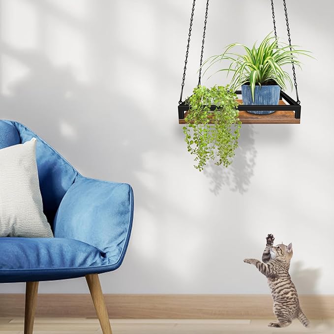 Plant Hanger Indoor - Image 2