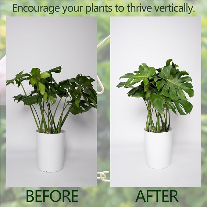5PCS Durable Monstera Plant Stem Support Stake - Image 3
