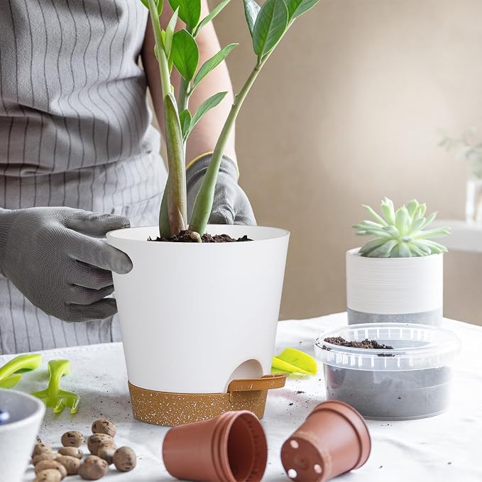 5 Pack 5 inch Self-Watering Pots, African Violets Planter - Image 7