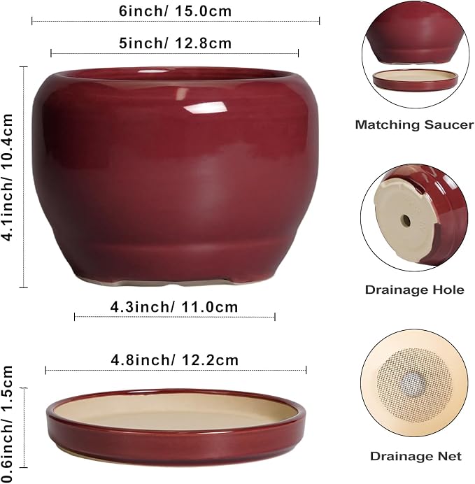 SQOWL 6 Inch Plant Pot - Image 3