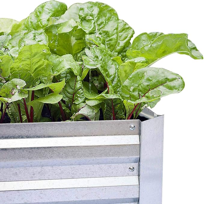 Galvanized Raised Garden Beds for Vegetables Large Metal Planter Box Steel Kit - Image 6