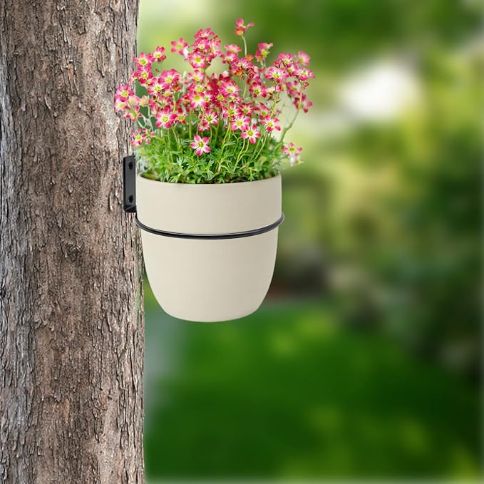 6 Pack 4 Inch Wall Flower Pot Holder Ring Plant Hanger, Metal Planter Hooks - Image 6