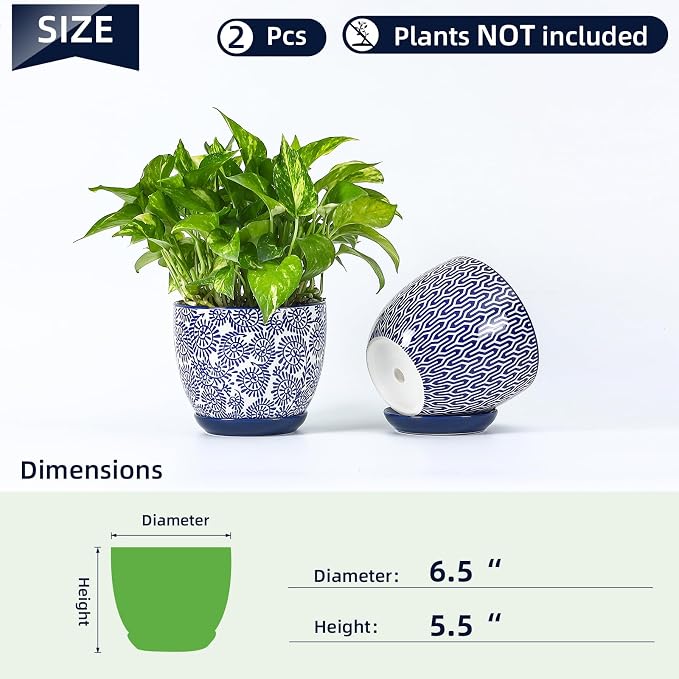 Selamica Ceramica Plant Pots, 6.5 Inch Flower Pots Set of 2 - Image 3