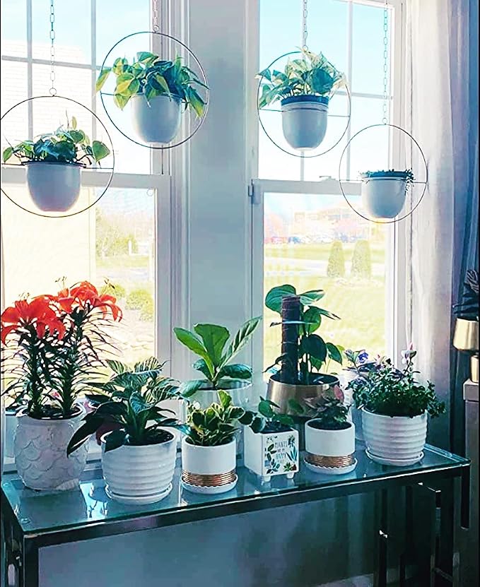 2 Pack Hanging Planters for Indoor Plants - Image 2