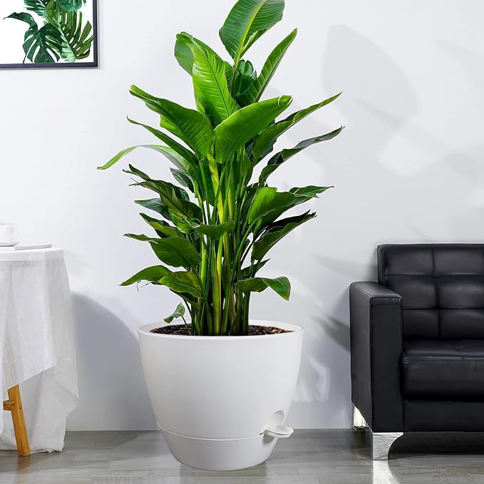 12inch Self Watering Pots, Plastic Planters - Image 6