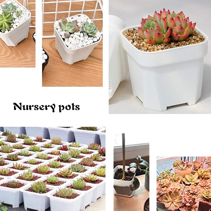 24 Pack 3 Inch White Square Plastic Plant Pots - Image 3