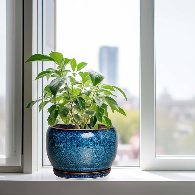 SQOWL 10 Inch Plant Pot - Image 4