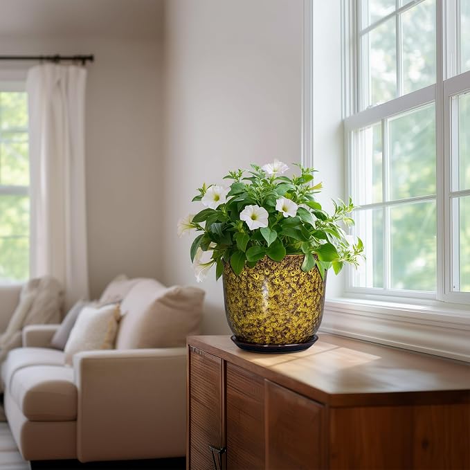 Ceramic Planter - Image 6