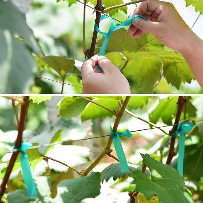 10 Pcs 150 Feet x 1/2" Wide Stretch Tie Tape Green Plant Garden Tie, Garden - Image 3