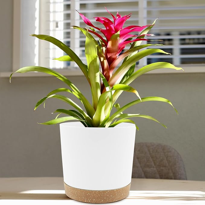 QCQHDU 8 inch Plant Pot, 2 Pack Planters - Image 5