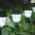 AOSEA 12000K 10 Pack Solar Lights Outdoor IP65 Waterproof, LED Solar Lights by AOSEA