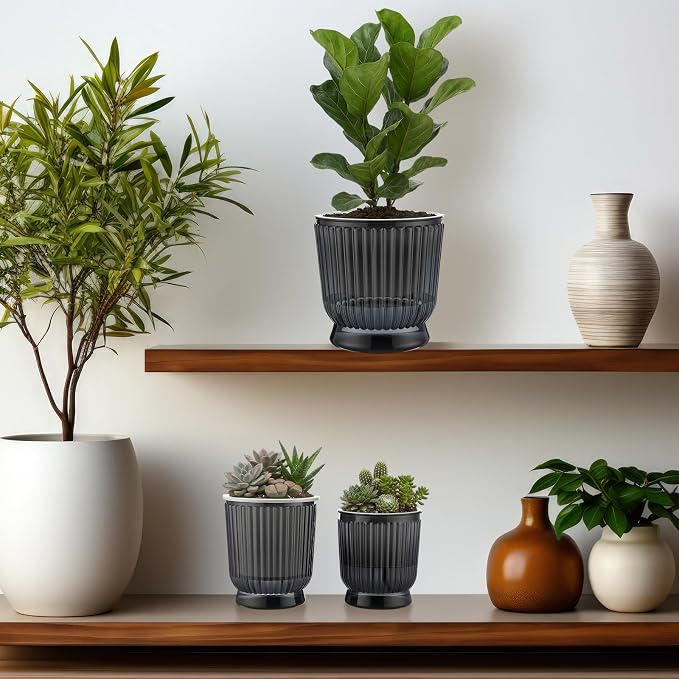 Set of 6 Self Watering Plant Pot 3 Sizes Plastic Double Layer Self Watering - Image 6
