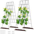 DOEWORKS Cucumber Trellis, 2 Pack, Plant Support by DOEWORKS