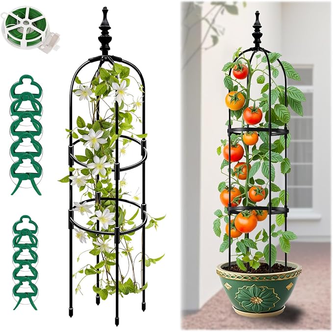 Trellis for Climbing Plants Outdoor 1Pcs Garden Obelisk 6Ft, Metal Pipe Tomato by Unknown
