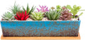 ARTKETTY Succulent Pots by ARTKETTY