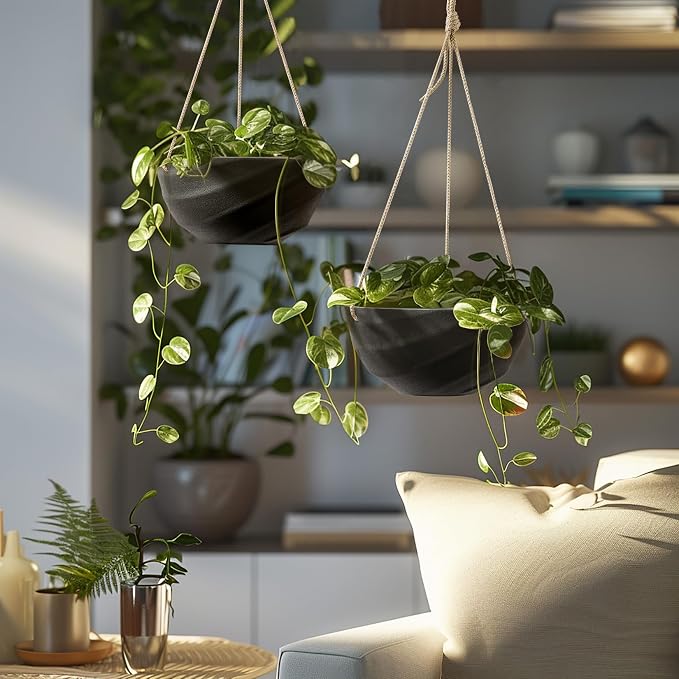 La Jolie Maison 10 Inch Hanging Planters - Image 3