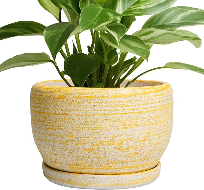 SQOWL Ceramic Flower Pots by SQOWL