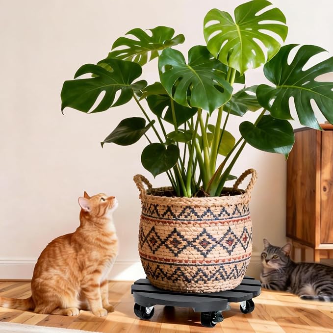 2 Pack Plant Stand with Wheels, Plant Caddies with 360° Lockable Smooth Sliding - Image 7