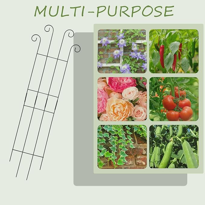 4 Pack 32 Inch Plant Trellis Outdoor Metal Trellis - Image 6
