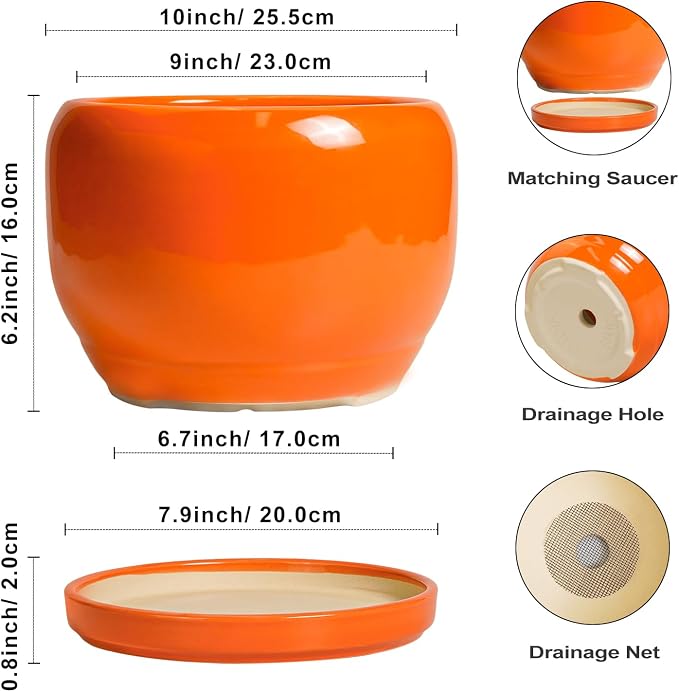 SQOWL Ceramic Planter - Image 3