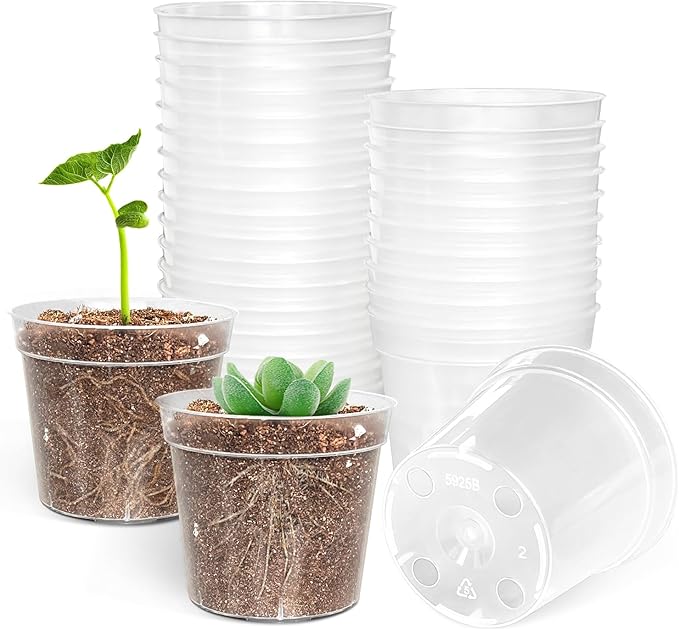 BTPLASTIK 50 Pack 2.5 Inch Clear Nursery Pots by BTPLASTIK