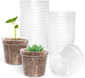 BTPLASTIK 50 Pack 2.5 Inch Clear Nursery Pots by BTPLASTIK