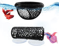 Little Fish Hammock and Little Fish Swimming Tunnel 2-Piece Set Aquarium Small by Unknown