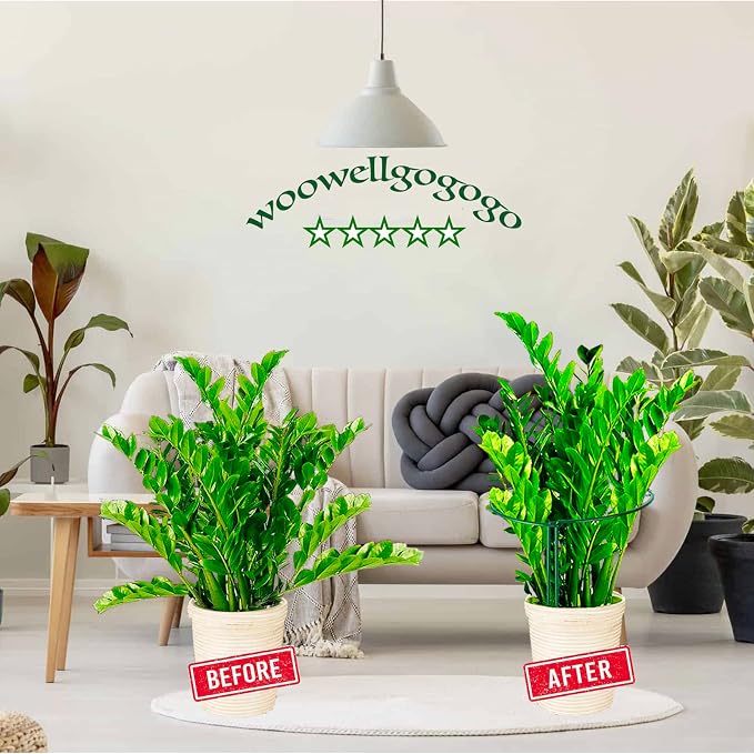 10-Pack Half Round Snake Plant Support Stakes, Plant Support Ring - Image 4