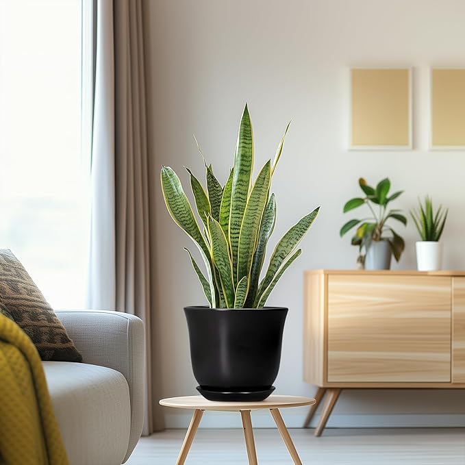 8 Inch Plant Pot - Image 5