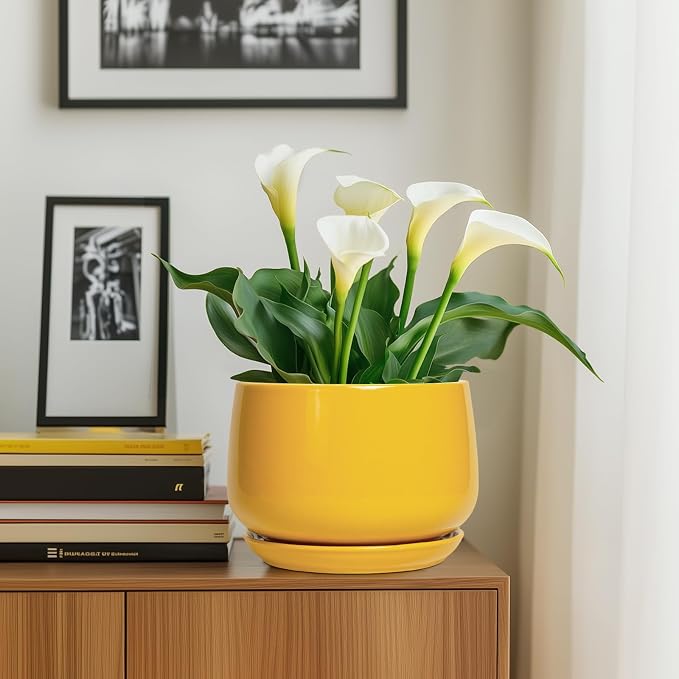G EPGardening Ceramic Flower Pot - Image 8