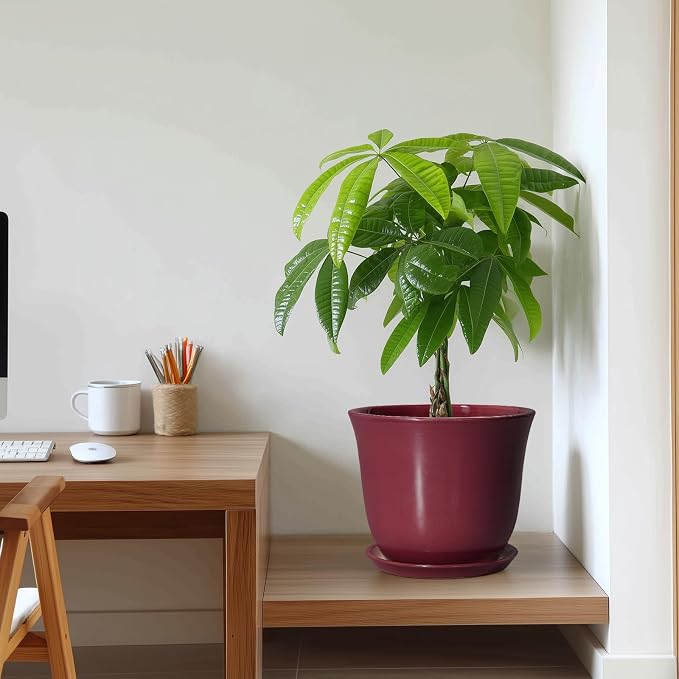 Ceramic Plant Pots - Image 6