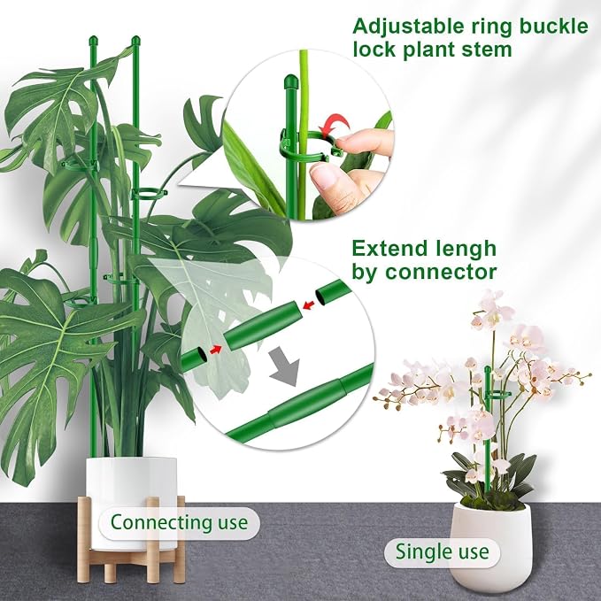 Plant Support Stakes for Indoor SupKing Orchid Sticks - Image 4