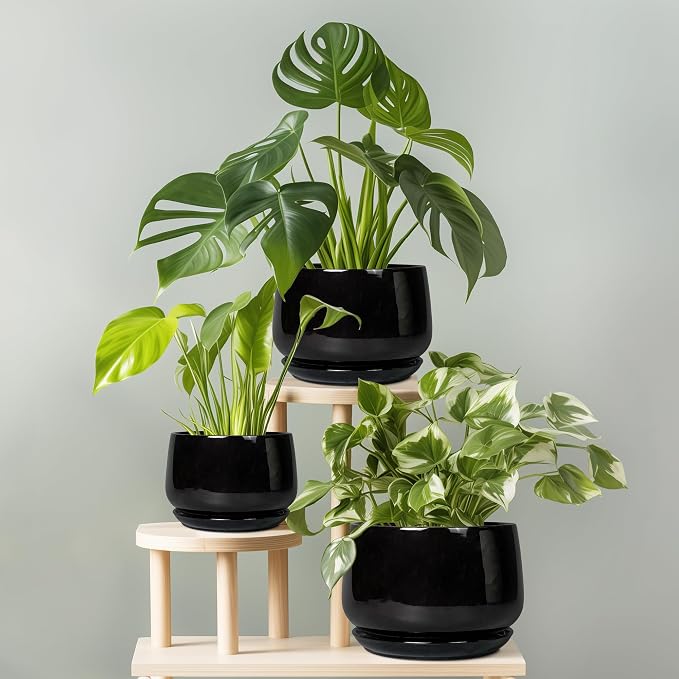 G EPGardening Ceramic Plant Pots - Image 7