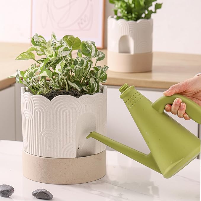 Nihow Self Watering Plant Pot for Indoor Plants : 6 Inch & 8 Inch Ceramic - Image 4