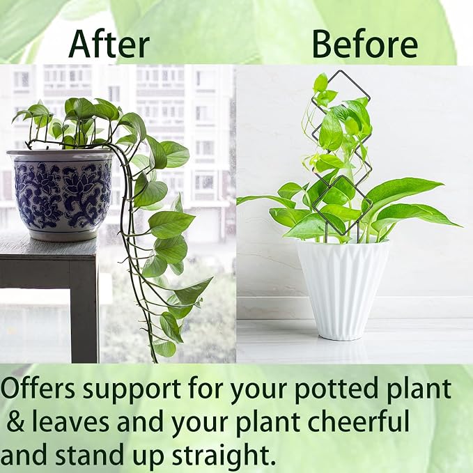4 Pcs Mini Metal Trellis for Potted Plants, Climbing Support for Hoya Vines - Image 3