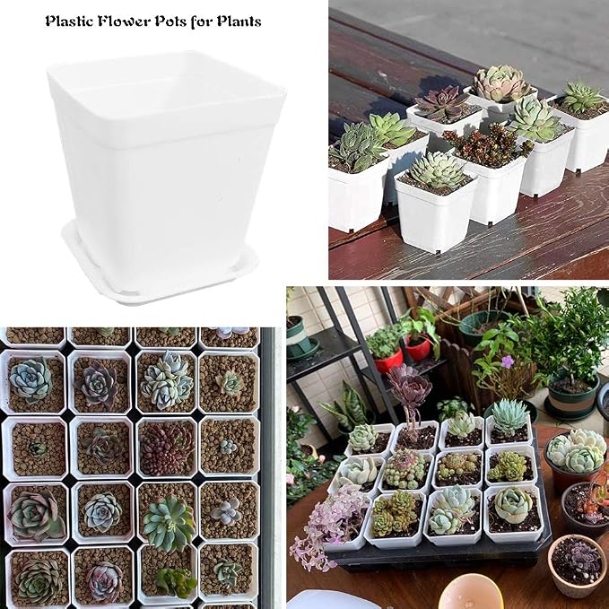24 Pack 3 Inch White Square Plastic Plant Pots - Image 7