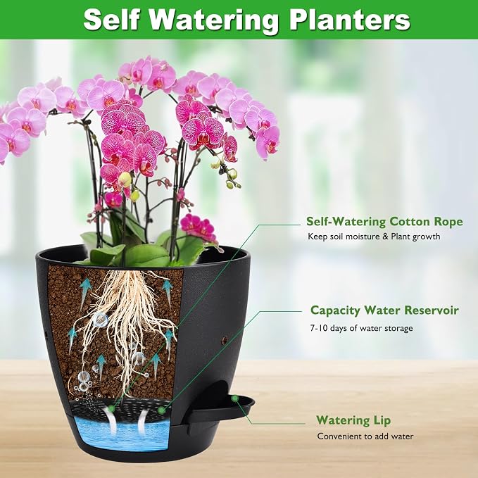 6 Inch Orchid Pots with Holes, 2 Pack Self Watering Planters - Image 3