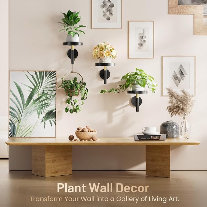 YUOROS 3 Pack Wall Plant Holder Wall Planters - Image 3