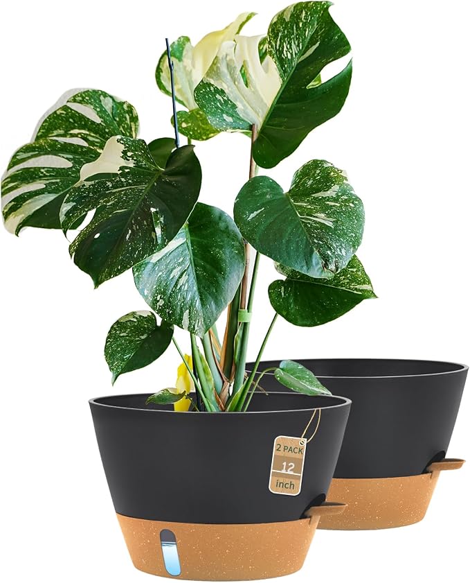12-Inch Self Watering Planters by FIASON