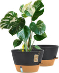 12-Inch Self Watering Planters by FIASON