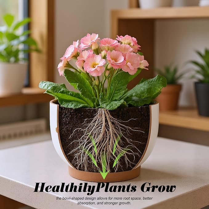 YBX 8 Inch & 6 Inch Terracotta Plant Pots, Flower Pots - Image 8