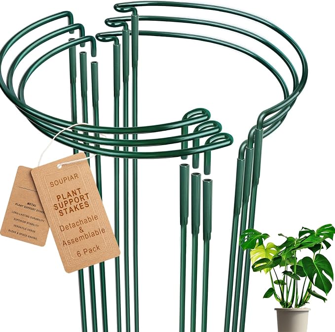 6 Pack Detachable & Assemblable Metal Plant Support Stakes by Soupiar