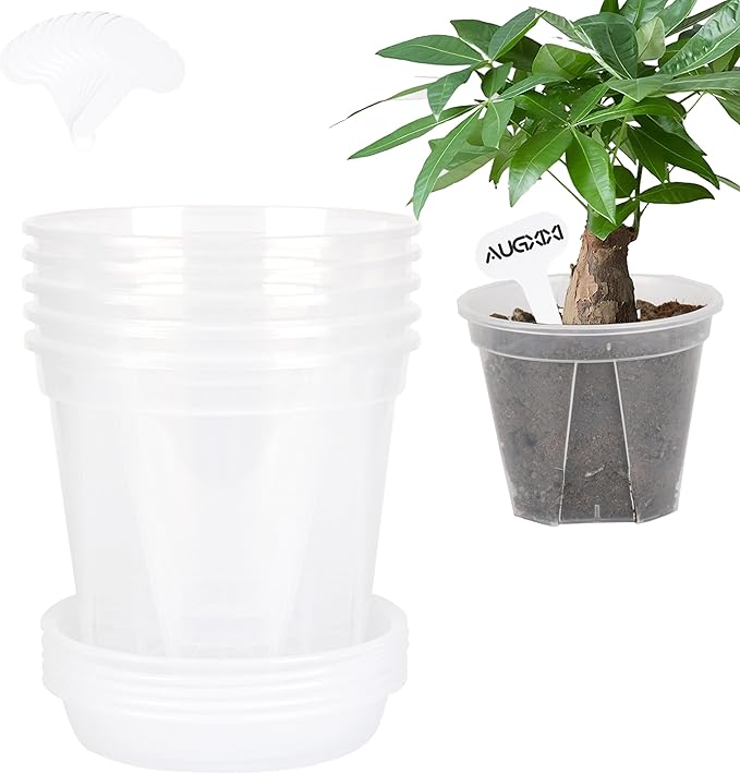 5 Set 7 Inch Transparent Plastic Garden Pots - Image 8