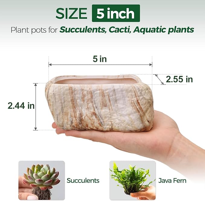 T4U 5.5 Inch Ceramic Succulent Pot Planter - Image 2
