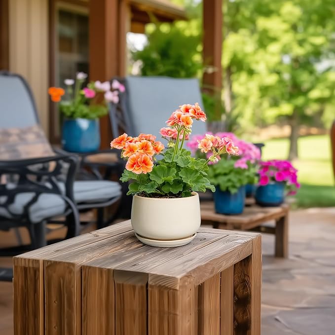 G EPGardening 4 inch Plant Pots - Image 4