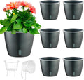 Self Watering Pots for Indoor Plants, Small African Violet Pots by KvyusFlourish