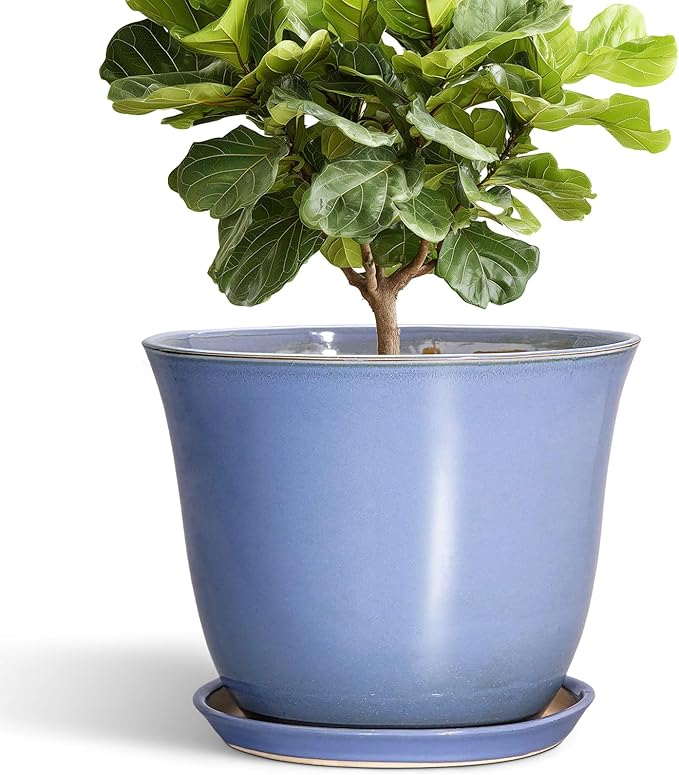 12 Inch Pots for Plants by SUNPOTFOR