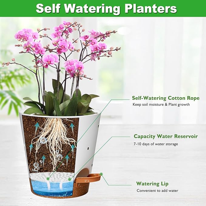 Orchid Pots with Holes, 6 Inch Self Watering Orchid Pot 2 Pack Plastic Plant - Image 3