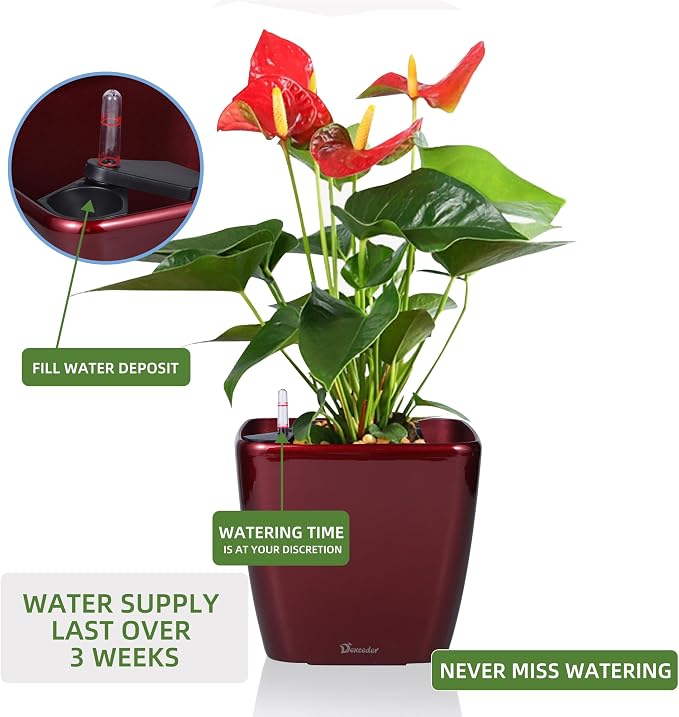 Dexceder 9x8 Self Watering Planter Indoor Outdoor, Inner Mat Design, Thickened - Image 5