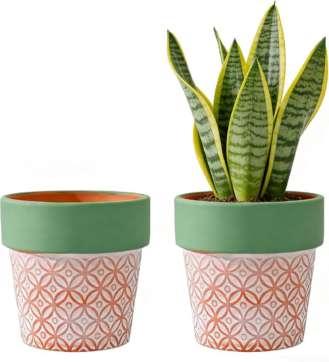 Terracotta Plant Pots Set of 2-5.9 Inch Vintage Pattern Clay Flowerpots by Unknown